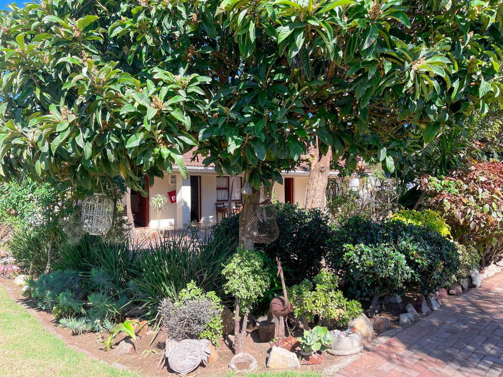 Albert Road Garden Guest House Port Elizabeth Esterno foto