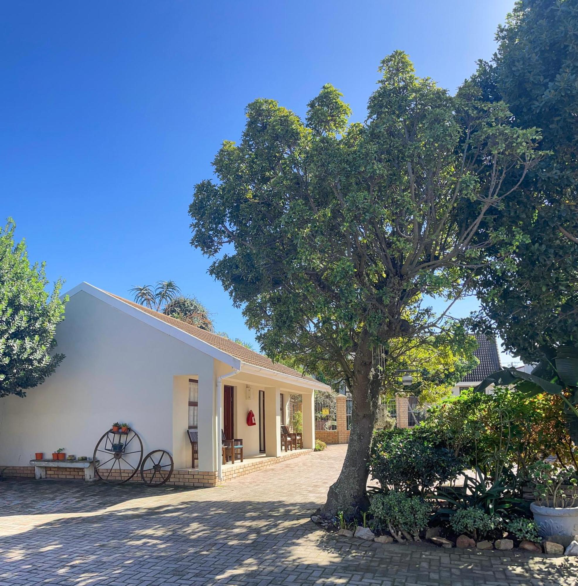 Albert Road Garden Guest House Port Elizabeth Esterno foto