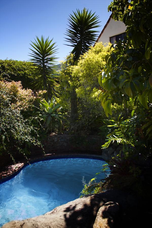 Albert Road Garden Guest House Port Elizabeth Esterno foto